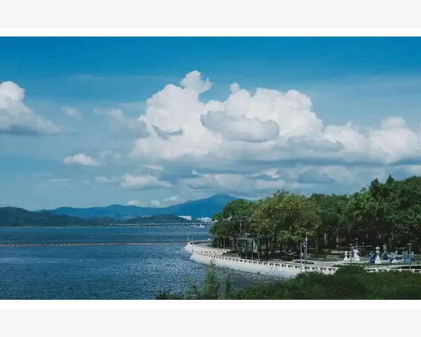 细辛：能够化痰止咳的中医良方